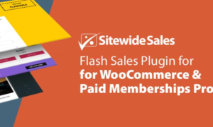 Paid Memberships - Pro Sitewide Sales