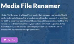Media File Renamer Pro GPL