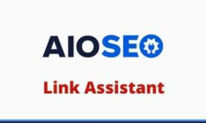 AIOSEO Link Assistant Addon GPL v1.1.17