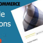 WooCommerce Simple Auctions GPL