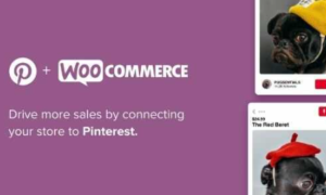 Pinterest for WooCommerce GPL