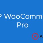 AMP for WooCommerce Pro GPL V3.3.37