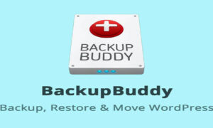 BackupBuddy GPL v9.1.20 – iThemes Solid Backups