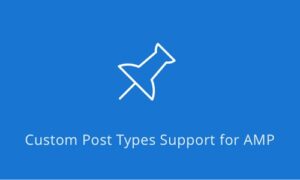 Custom Post Type Support for AMP GPL V1.6.1