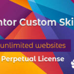 Elementor Custom Skin Pro GPL v4.2.1