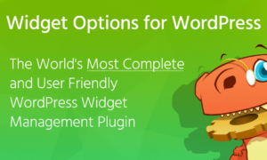 Extended Widget Options GPL v5.3.4 | All-in-One WordPress Widget Control Plugin