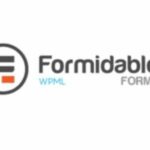 Formidable Forms WPML Multilingual AddOn GPL v2.0.0