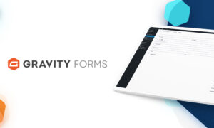 Gravity Forms GPL v3.1.1.1 – Master Core File