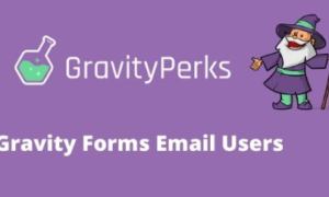 Gravity Perks Email Users Addon GPL