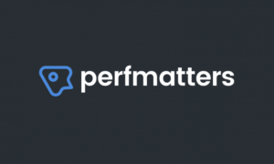 Perfmatters GPL v2.6.8 – Lightweight WordPress Performance Plugin