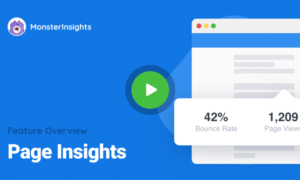 MonsterInsights AMP Addon GPL v2.0.0