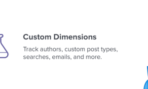 MonsterInsights Custom Dimensions Addon GPL v3.0.0