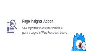 MonsterInsights Page Insights Addon GPL v2.0.0
