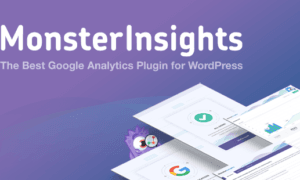 MonsterInsights Pro GPL v11.2.0 Plugin – Best WordPress Analytics