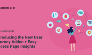 MonsterInsights User Journey Addon GPL v2.1.0