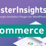 MonsterInsights eCommerce Addon GPL v9.0.2