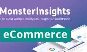 MonsterInsights eCommerce Addon GPL v9.0.2