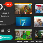 Ngo Theme GPL v2.0 – Charity Donation WordPress Theme