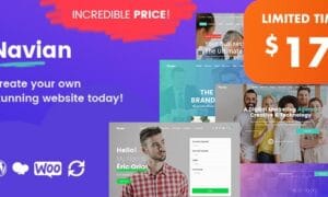 Navian Theme GPL v1.5.4 – Multi-Purpose Responsive WordPress Websites
