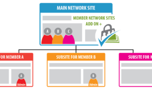Paid Memberships Pro Member Network Sites GPL v0.5.4