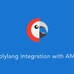 Polylang For AMP GPL v1.2.11