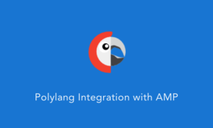 Polylang For AMP GPL v1.2.11