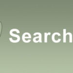 SearchWP GPL v4.6.1 – Core Files | WordPress search can’t find much