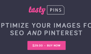 Tasty Pins GPL v2.4.2 – Optimize your blog’s images