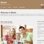 Themify Minblr WordPress Theme GPL v7.5.8
