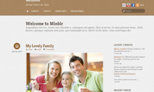Themify Minblr WordPress Theme GPL v7.5.8