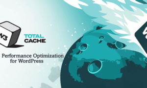 W3 Total Cache Pro GPL v2.10.6 Latest Version