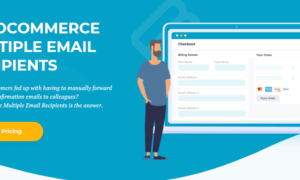 WooCommerce Multiple Email Recipients GPL v1.2.15 – Barn2 Media