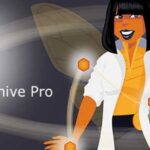 WPMU DEV Beehive Pro GPL v3.5.2