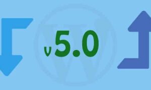 Woo Import Export GPL v6.0.15 Latest Version