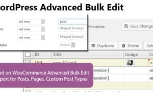 WooCommerce Advanced Bulk Edit GPL v6.2.1