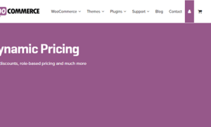 WooCommerce Dynamic Pricing GPL v3.6.1
