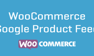 WooCommerce Google Product Feeds GPL v12.1.0