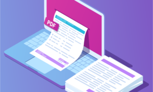 WooCommerce PDF Invoices & Packing Slips Professional GPL 2.21.0
