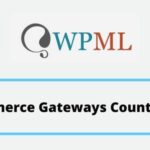 WPML WooCommerce Gateways Country Limiter GPL