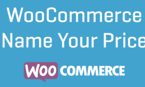 WooCommerce Name Your Price GPL