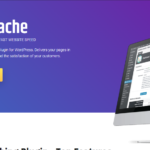 Borlabs Cache WordPress Caching Plugin GPL