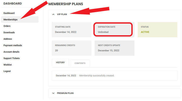 VIP PLAN