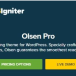 CSS Igniter Olsen Pro GPL v2.8.3 WordPress Blogging Theme