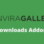 Envira Gallery Downloads Addon GPL