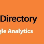 GeoDirectory Google Analytics Addon GPL