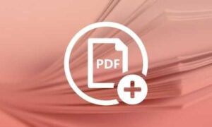 Gravity Flow PDF Generator Extension GPL