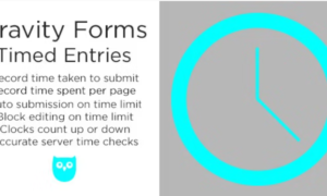 Gravity Forms Timed Entries GPL