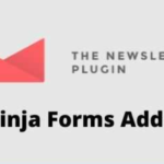 Newsletter Ninja Forms Addon GPL