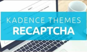 Kadence reCAPTCHA Addon GPL