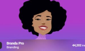 WPMU DEV Branda Pro Plugin GPL